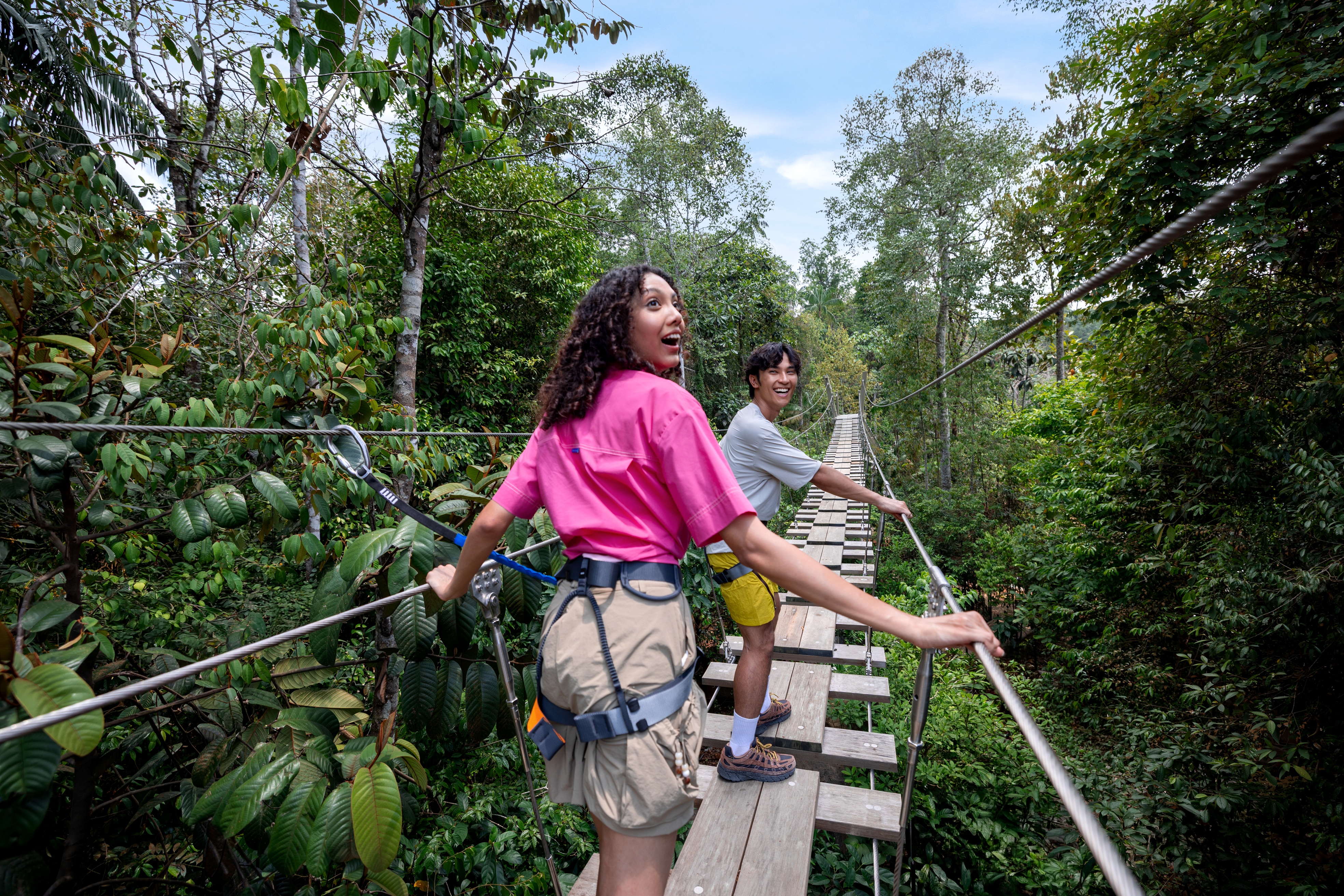 MRR_MWG Rainforest Wild Adventure - Treetop Traverse